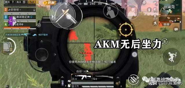 和平精英《诛仙》辅助